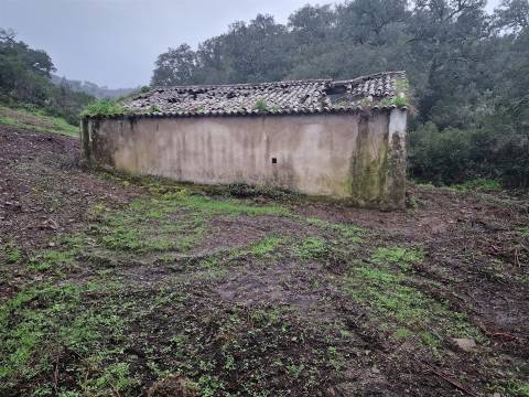 Armazém  Venda em Santa Clara-a-Nova e Gomes Aires,Almodôvar