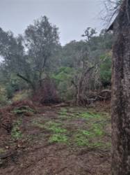 Armazém  Venda em Santa Clara-a-Nova e Gomes Aires,Almodôvar