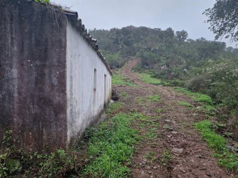 Armazém  Venda em Santa Clara-a-Nova e Gomes Aires,Almodôvar