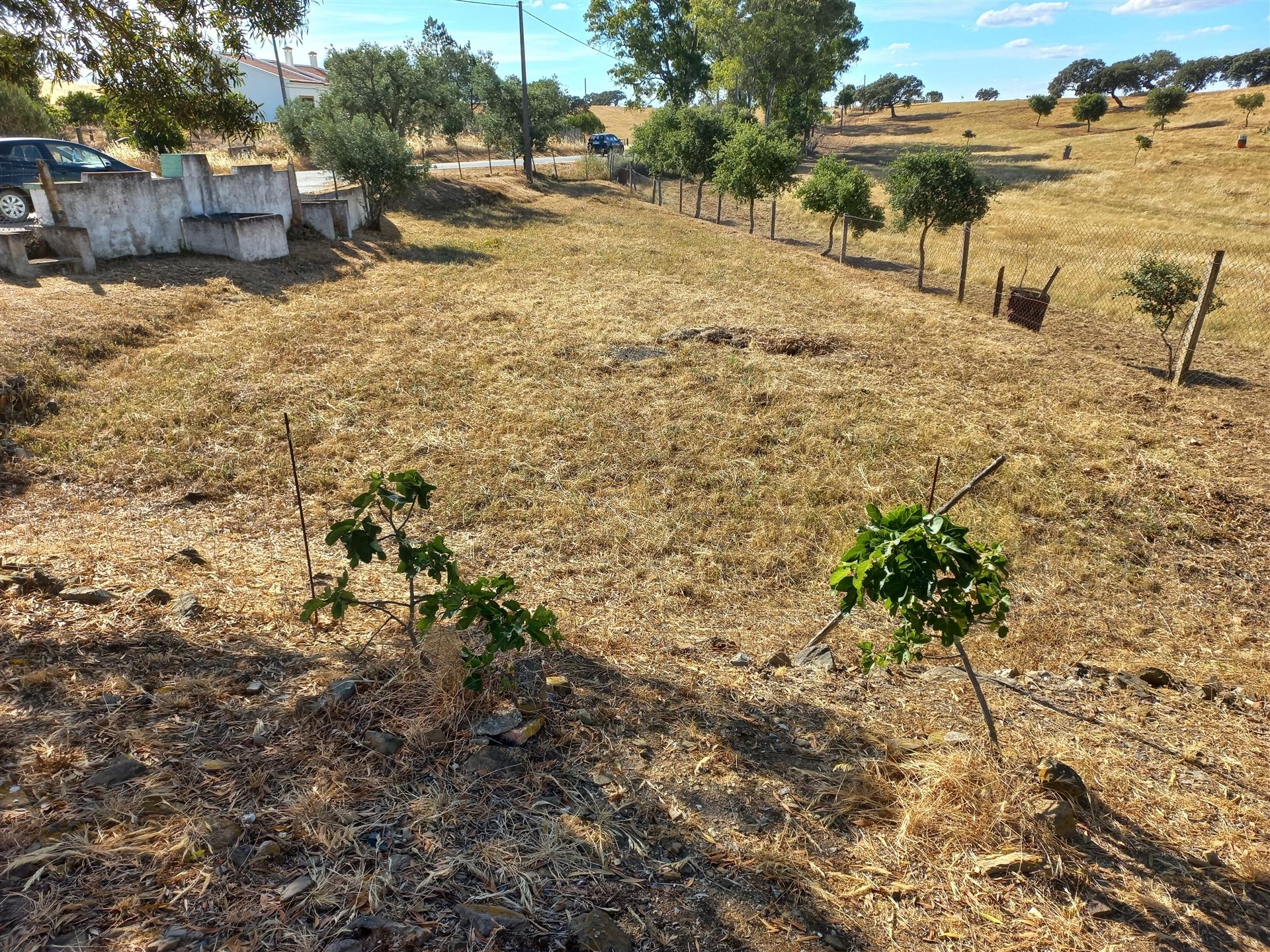 Moradia T4 Venda em Santa Cruz,Almodôvar