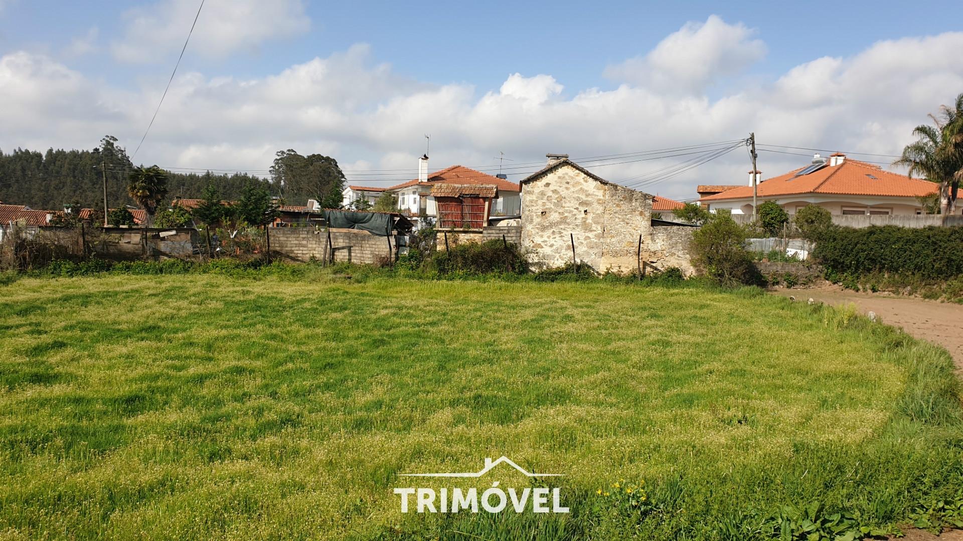 Terreno Para Construção  Venda em São Roque,Oliveira de Azeméis