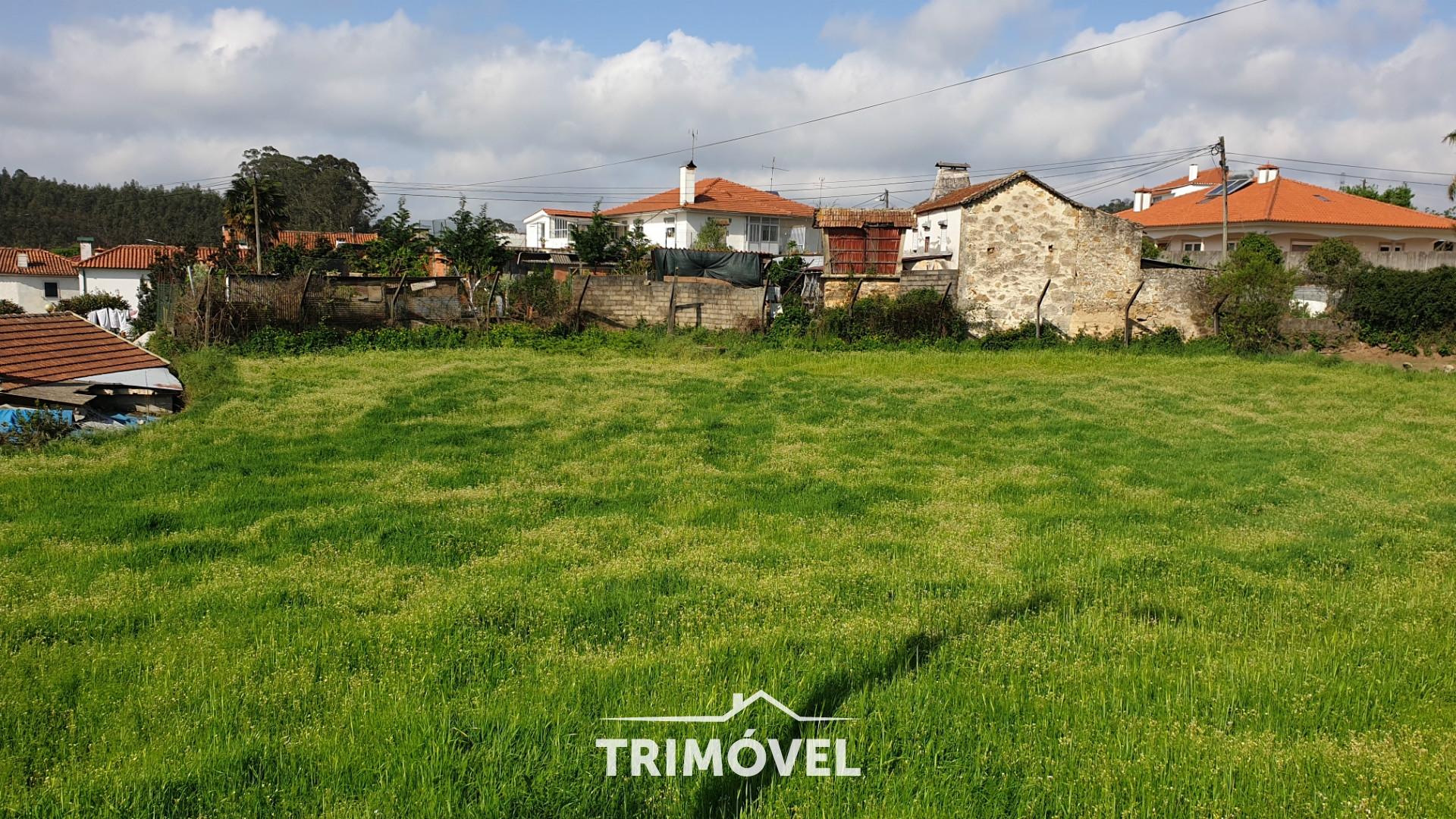 Terreno Para Construção  Venda em São Roque,Oliveira de Azeméis