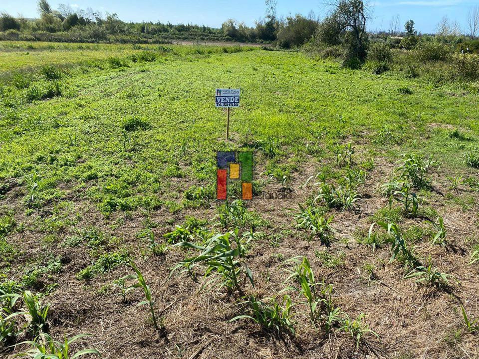 Terreno Urbano T3 Venda em Mira,Mira