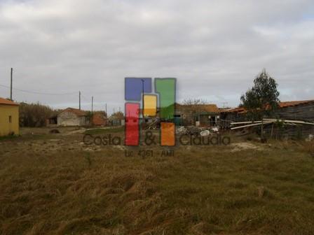 Terreno Rústico  Venda em Praia de Mira,Mira