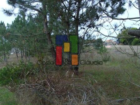 Terreno Rústico  Venda em Praia de Mira,Mira