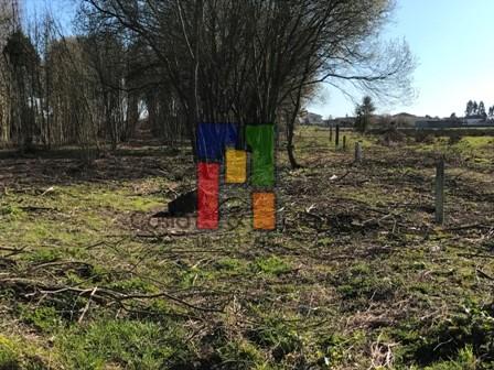 Terreno Misto  Venda em Febres,Cantanhede