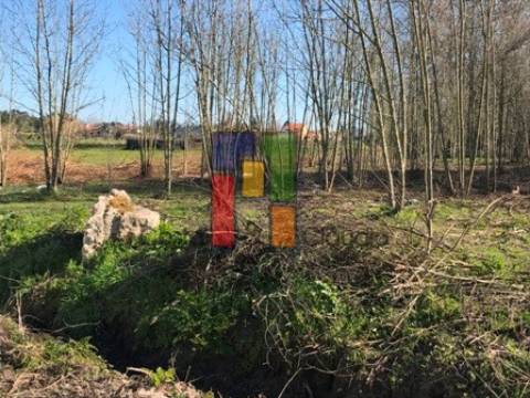 Terreno Misto  Venda em Febres,Cantanhede