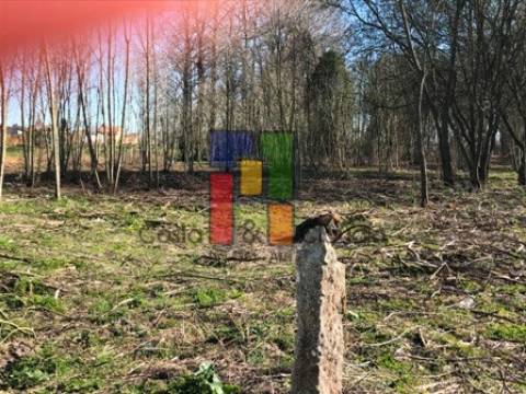 Terreno Misto  Venda em Febres,Cantanhede