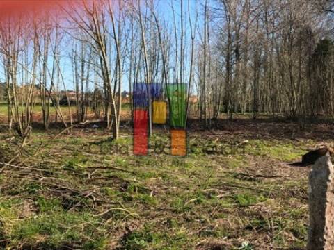 Terreno Misto  Venda em Febres,Cantanhede