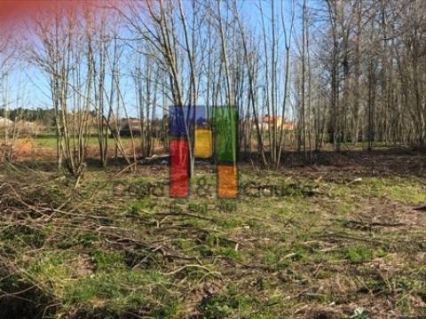Terreno Misto  Venda em Febres,Cantanhede