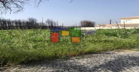 Terreno Urbano  Venda em Mira,Mira