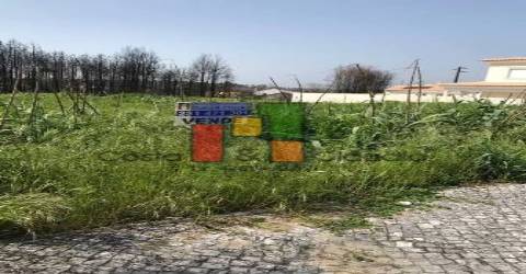 Terreno Urbano  Venda em Mira,Mira