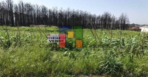 Terreno Urbano  Venda em Mira,Mira