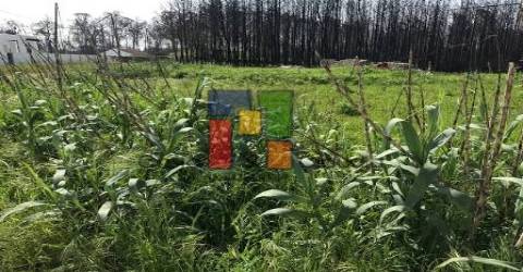 Terreno Urbano  Venda em Mira,Mira