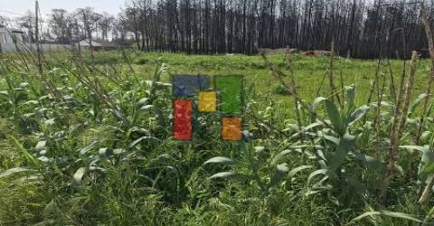 Terreno Urbano  Venda em Mira,Mira