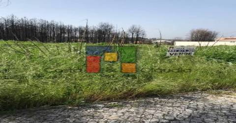Terreno Urbano  Venda em Mira,Mira