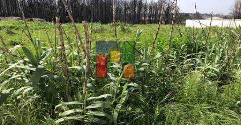 Terreno Urbano  Venda em Mira,Mira