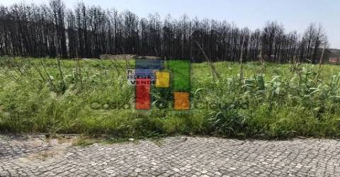 Terreno Urbano  Venda em Mira,Mira