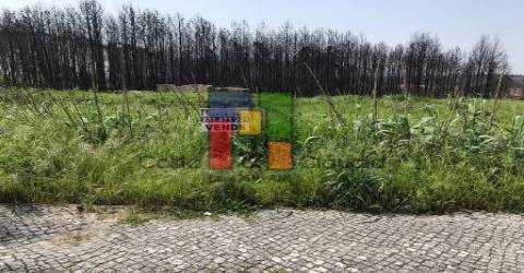 Terreno Urbano  Venda em Mira,Mira