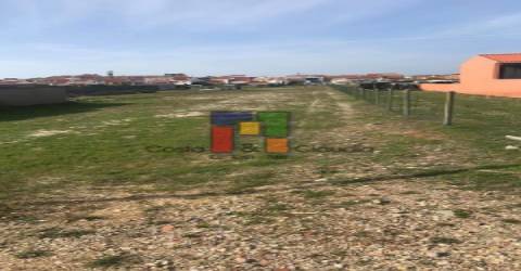 Terreno Urbano  Venda em Praia de Mira,Mira