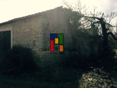 Terreno Urbano  Venda em Cadima,Cantanhede