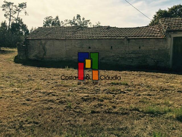 Terreno Urbano  Venda em Cadima,Cantanhede