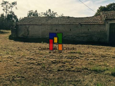 Terreno Urbano  Venda em Cadima,Cantanhede