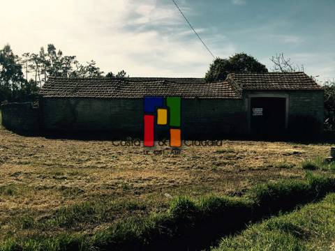 Terreno Urbano  Venda em Cadima,Cantanhede