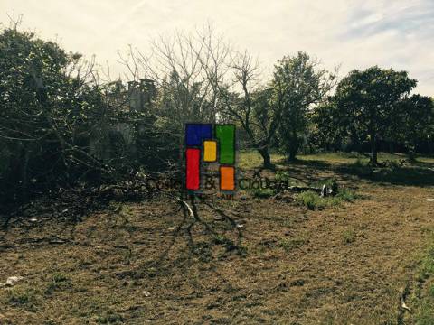Terreno Urbano  Venda em Cadima,Cantanhede