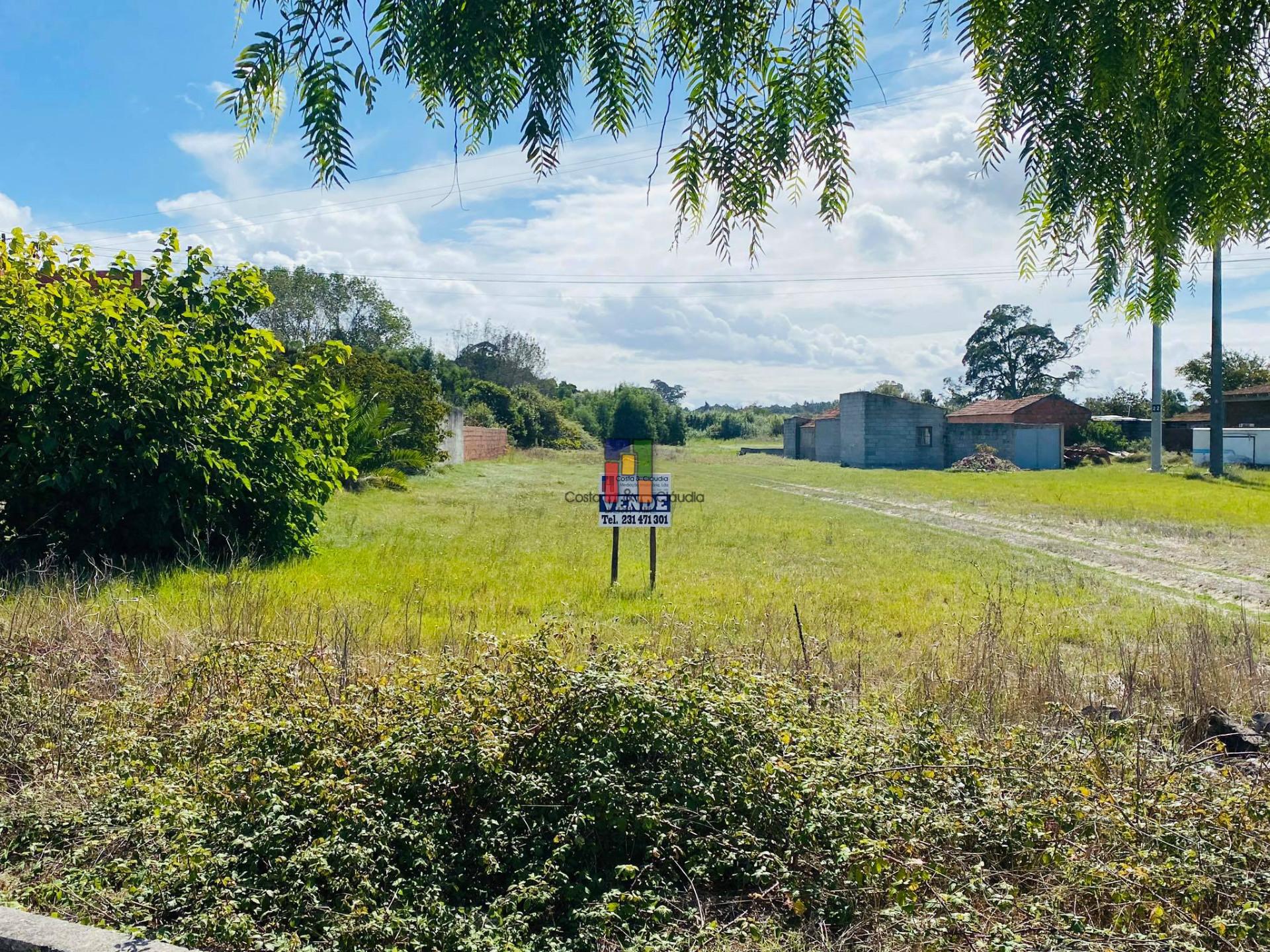 Terreno Urbano  Venda em Praia de Mira,Mira