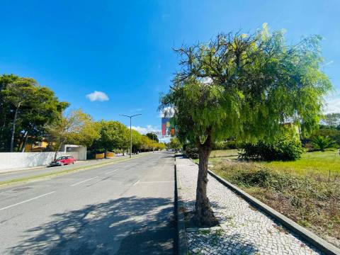 Terreno Urbano  Venda em Praia de Mira,Mira