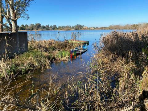 Terreno Urbano T2 Venda em Mira,Mira