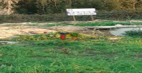 Lote de Terreno  Venda em Mira,Mira