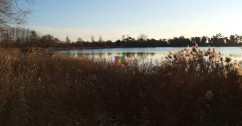 Lote de Terreno  Venda em Mira,Mira