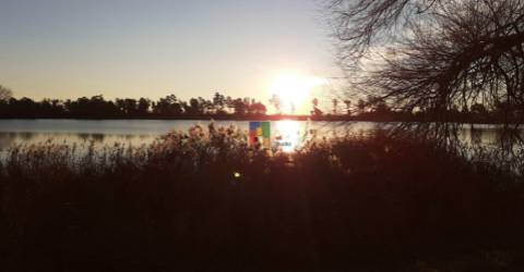 Lote de Terreno  Venda em Mira,Mira