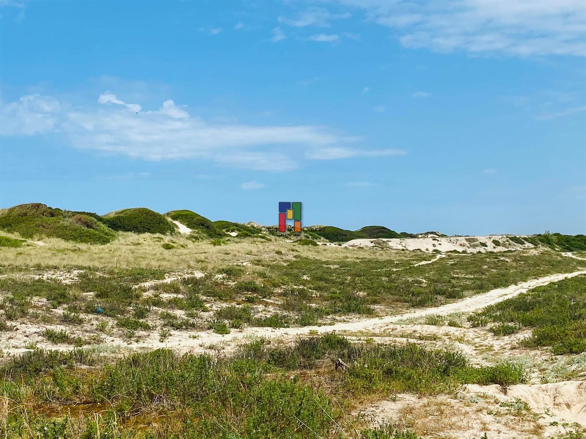 Terreno Rústico  Venda em Praia de Mira,Mira