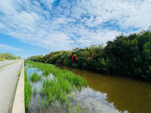 Terreno Rústico  Venda em Praia de Mira,Mira