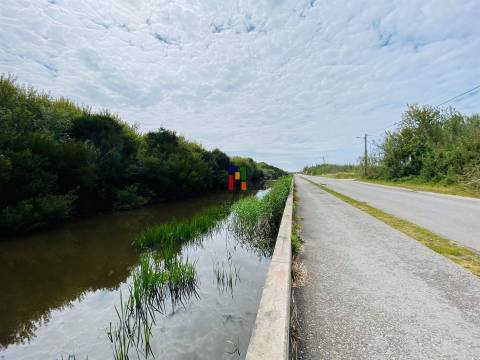 Terreno Rústico  Venda em Praia de Mira,Mira