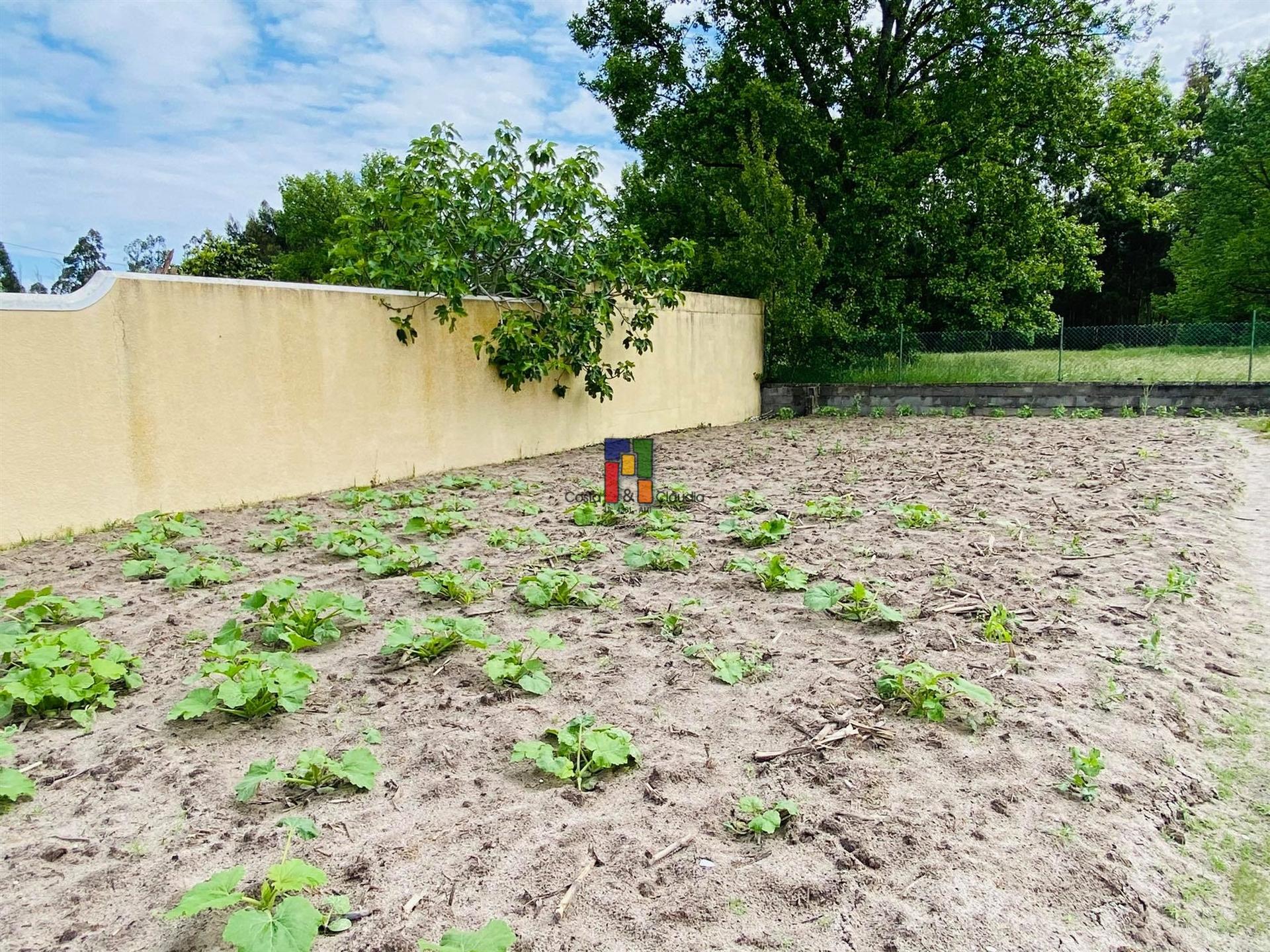 Terreno Para Construção  Venda em Mira,Mira