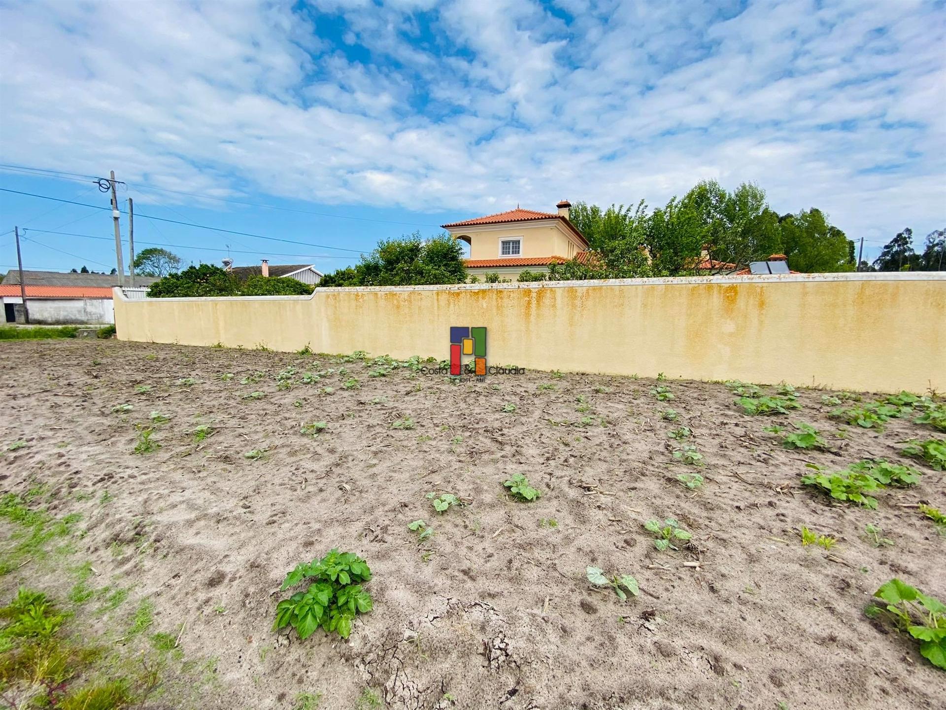 Terreno Para Construção  Venda em Mira,Mira