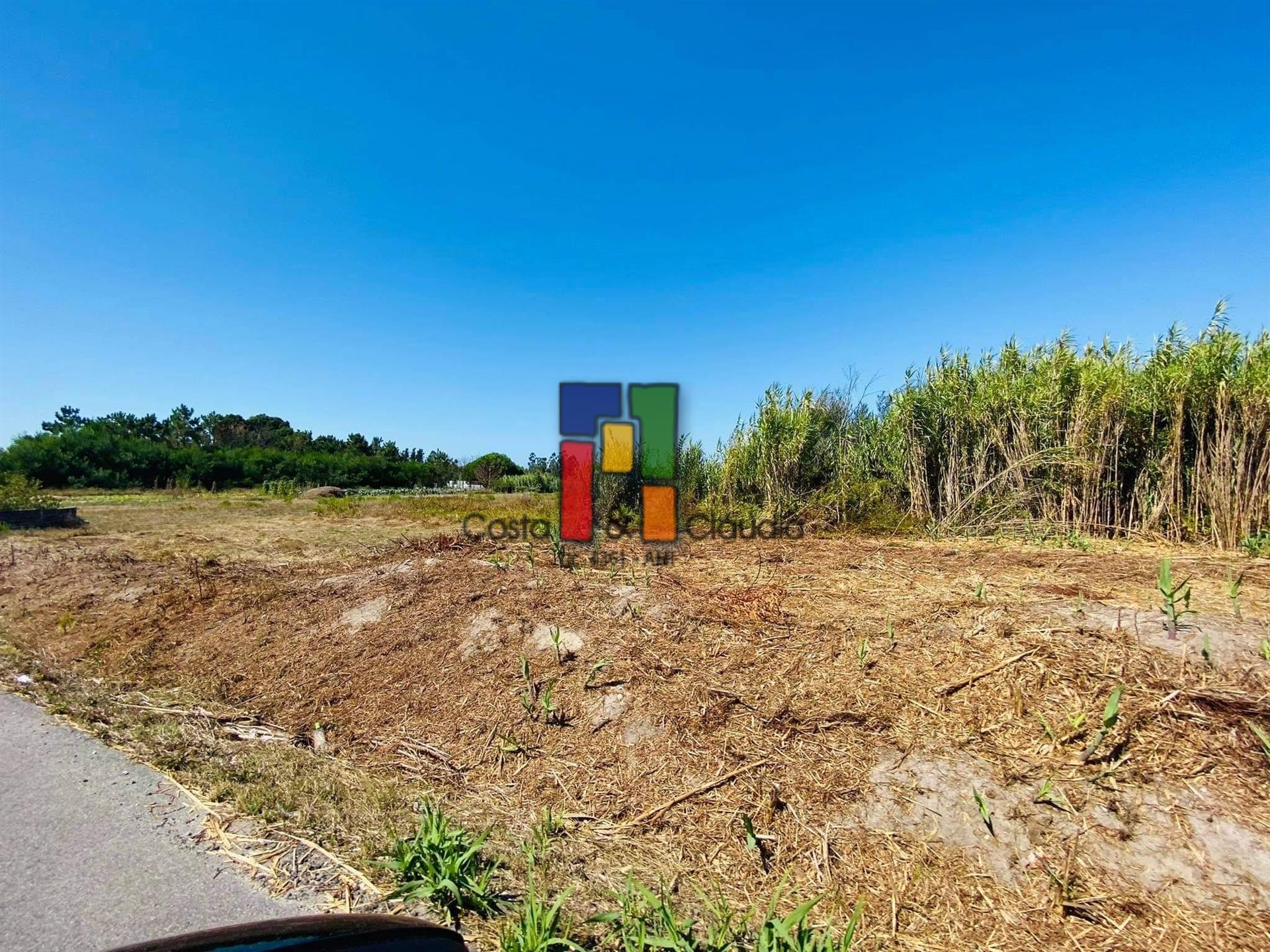 Terreno Urbano  Venda em Mira,Mira