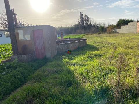 Terreno Misto  Venda em Mira,Mira
