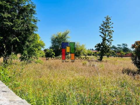 Terreno Urbano T0 Venda em Mira,Mira