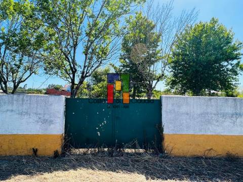 Terreno Urbano T0 Venda em Mira,Mira