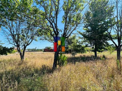 Terreno Urbano T0 Venda em Mira,Mira