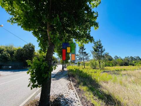 Terreno Urbano T0 Venda em Mira,Mira