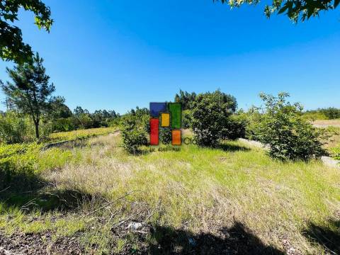 Terreno Urbano T0 Venda em Mira,Mira