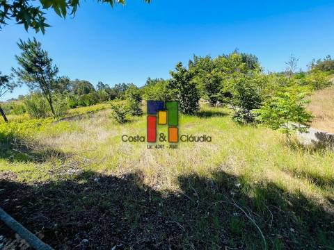 Terreno Urbano T0 Venda em Mira,Mira