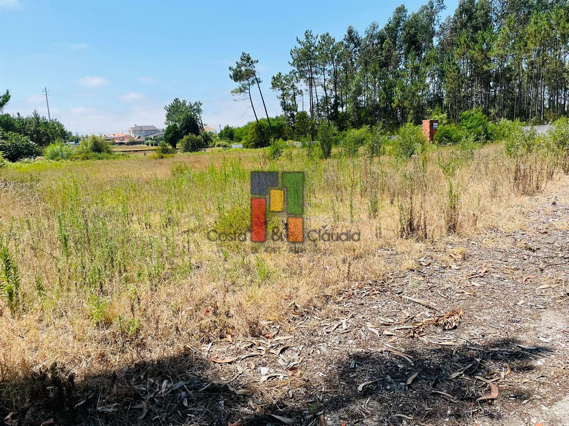 Terreno Urbano  Venda em Fonte de Angeão e Covão do Lobo,Vagos