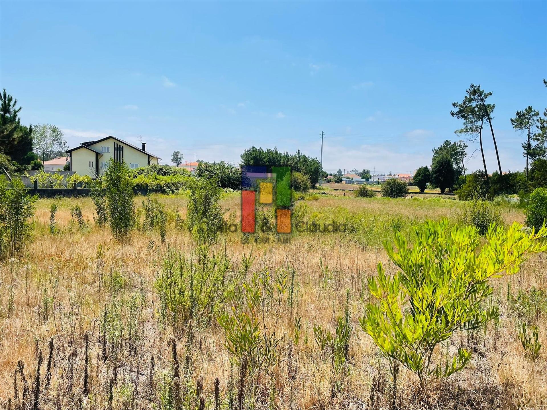 Terreno Urbano  Venda em Fonte de Angeão e Covão do Lobo,Vagos